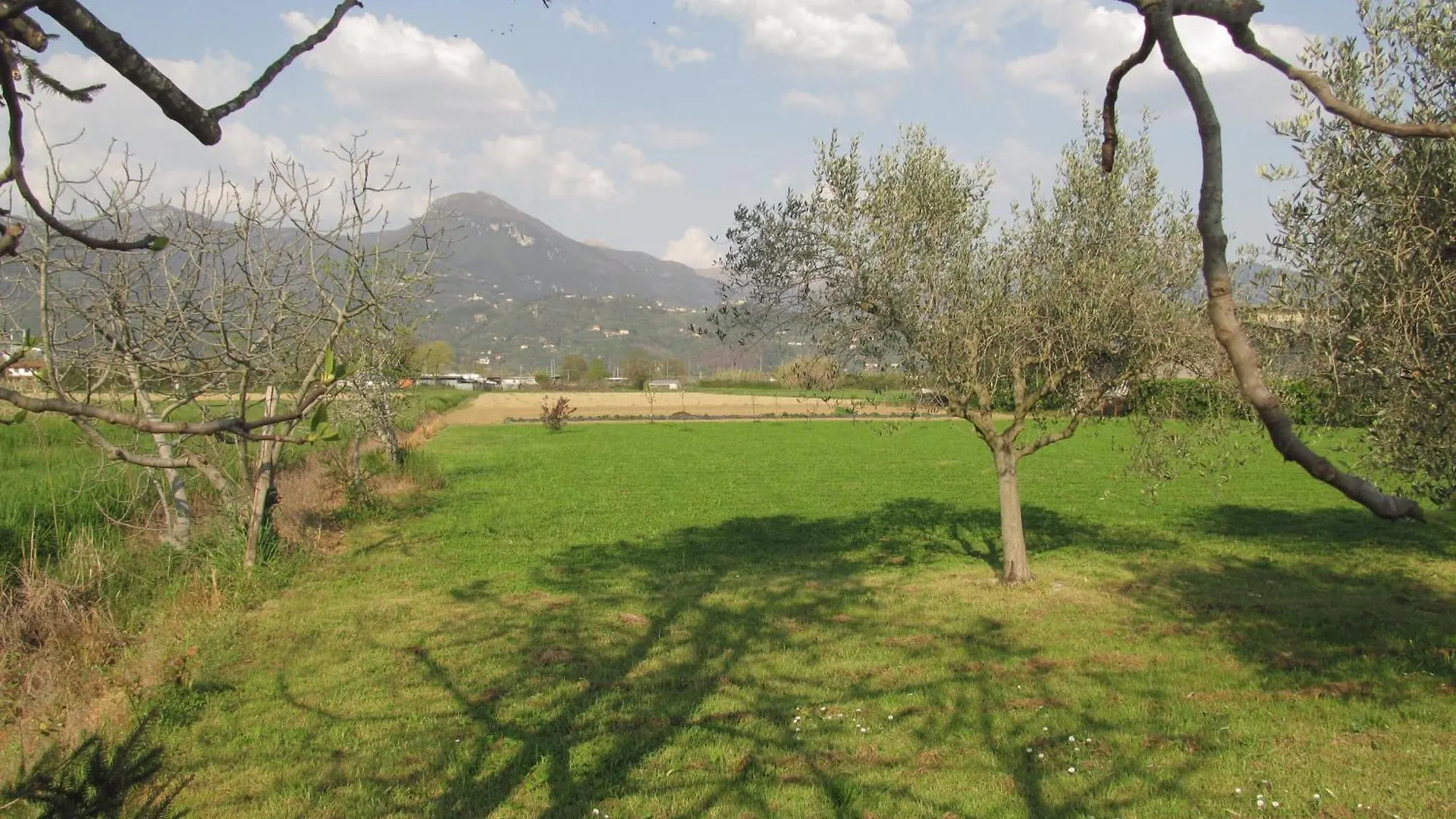 Villa Casale Margherita Le Focette Italy